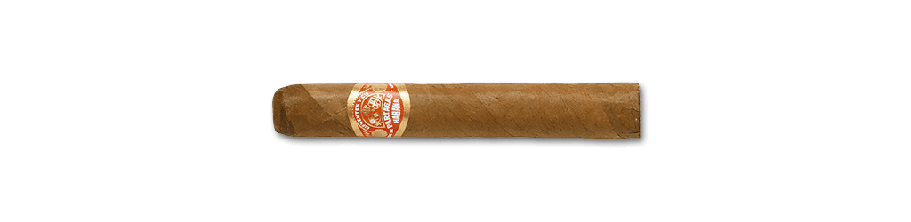 Partagas - Shorts